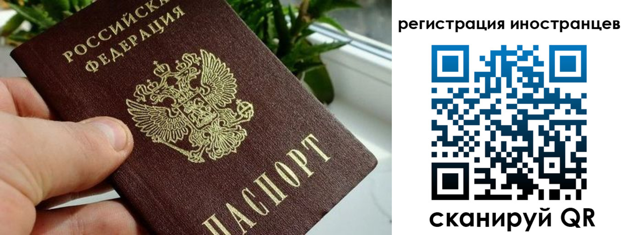 регистрация в Кинешме
